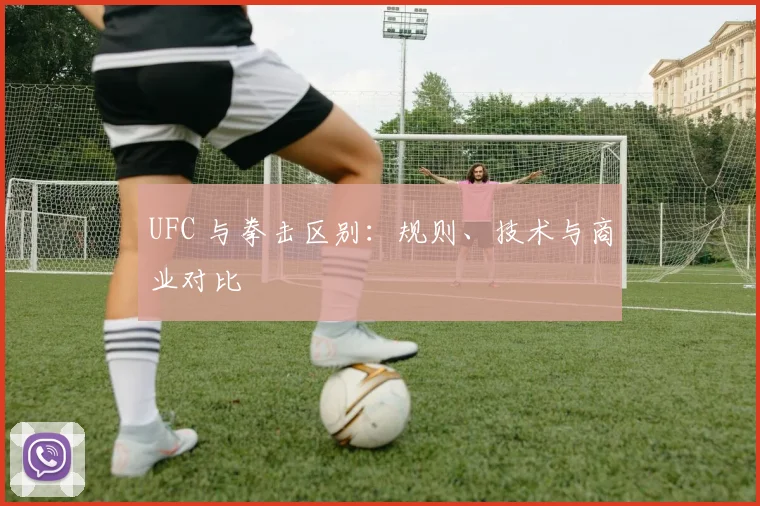 UFC 与拳击区别:规则、技术与商业对比