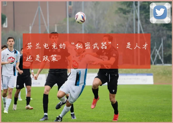 芬兰电竞的“秘密武器”：是人才还是政策