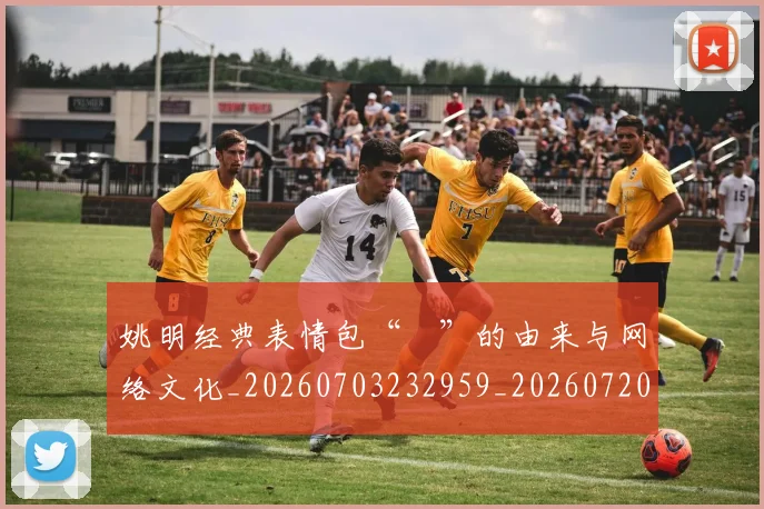 姚明经典表情包“囧”的由来与网络文化_20260703232959_20260720192255