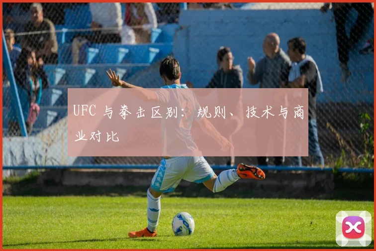 UFC 与拳击区别：规则、技术与商业对比