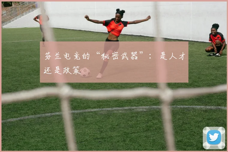 芬兰电竞的“秘密武器”：是人才还是政策